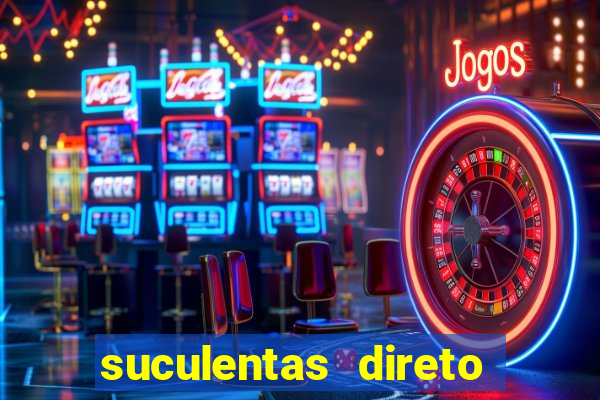 suculentas direto do produtor rs